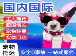 喀什徕宁航空物流国际宠物托运 【国